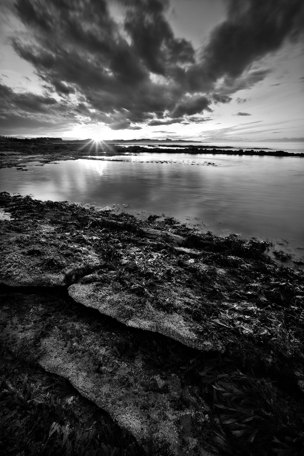 2009-UK, England, Seahouses