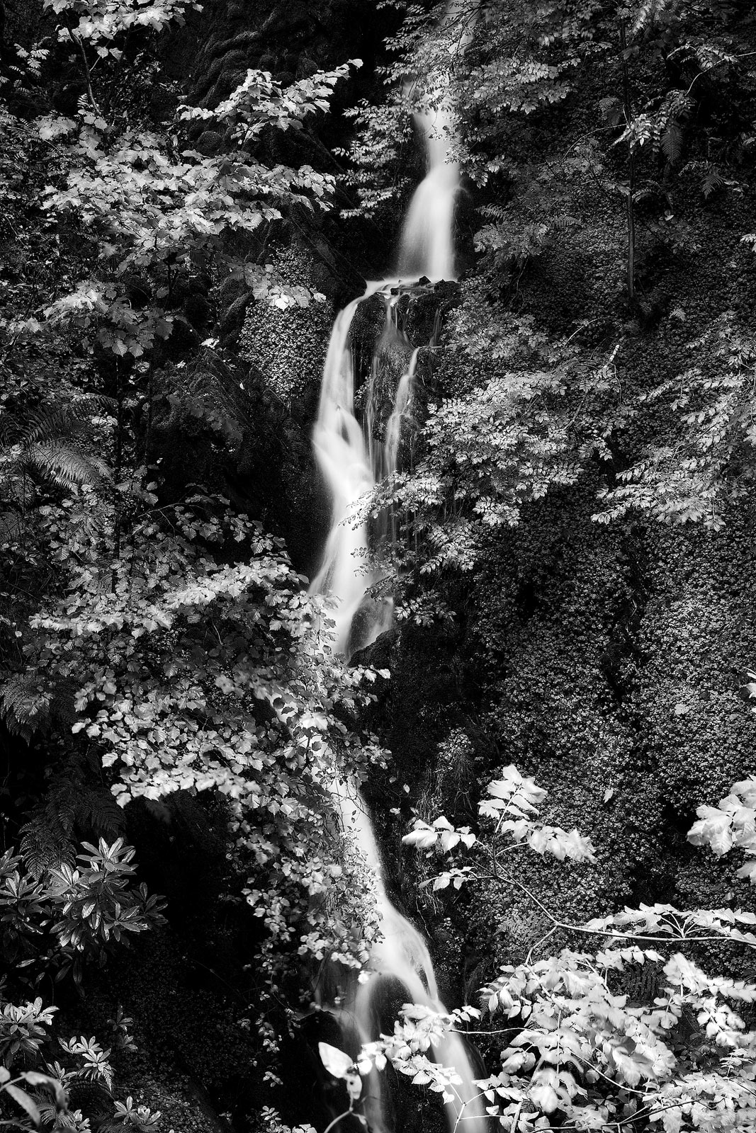 2008-UK, Wales, Rheidol Falls