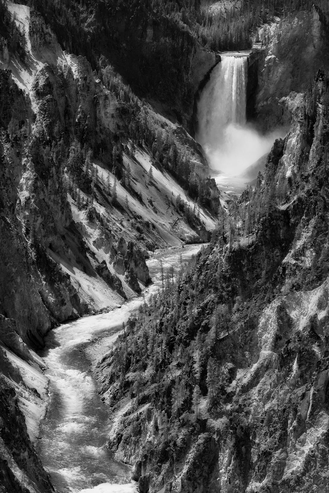 2005-USA, Montana, Yellowstone NP,