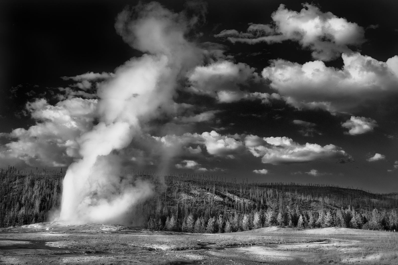 2005-USA, Montana, Yellowstone Gyser