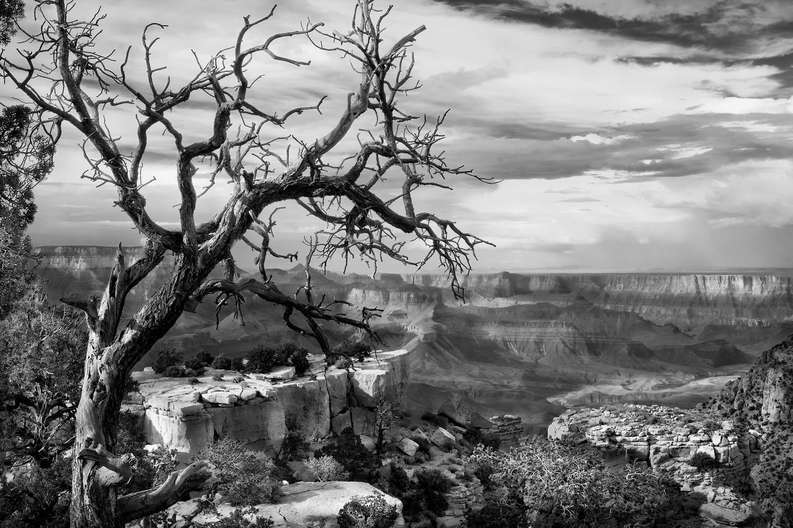 2005-USA, Arizona, Grand Canyon South Rim
