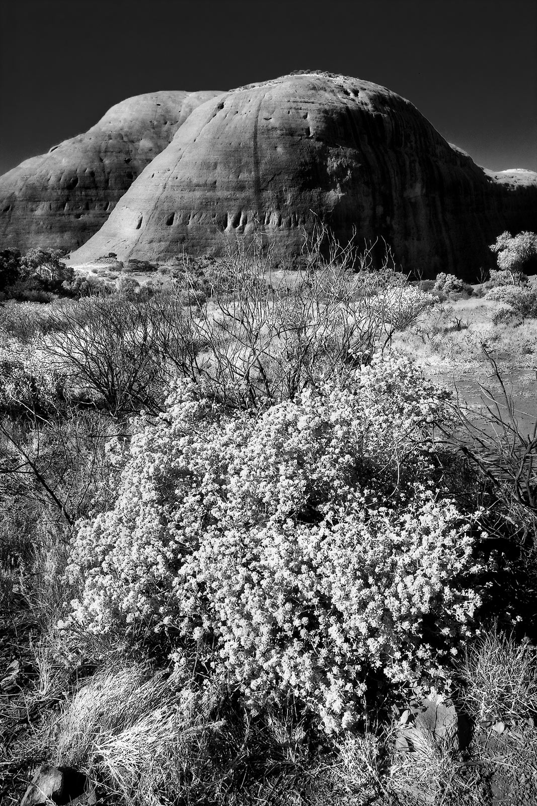 2045-Australia, Red Center, The Olgas (Kata Tjuta)