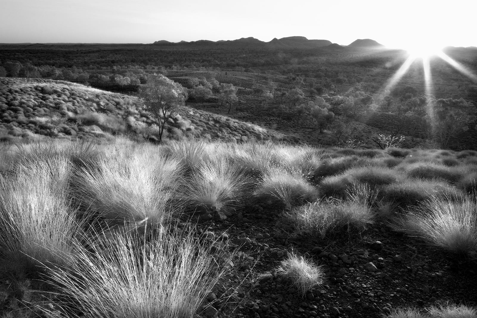 2004-Australia, Kimberley, Purnululu National Park (Bungle Bungle)